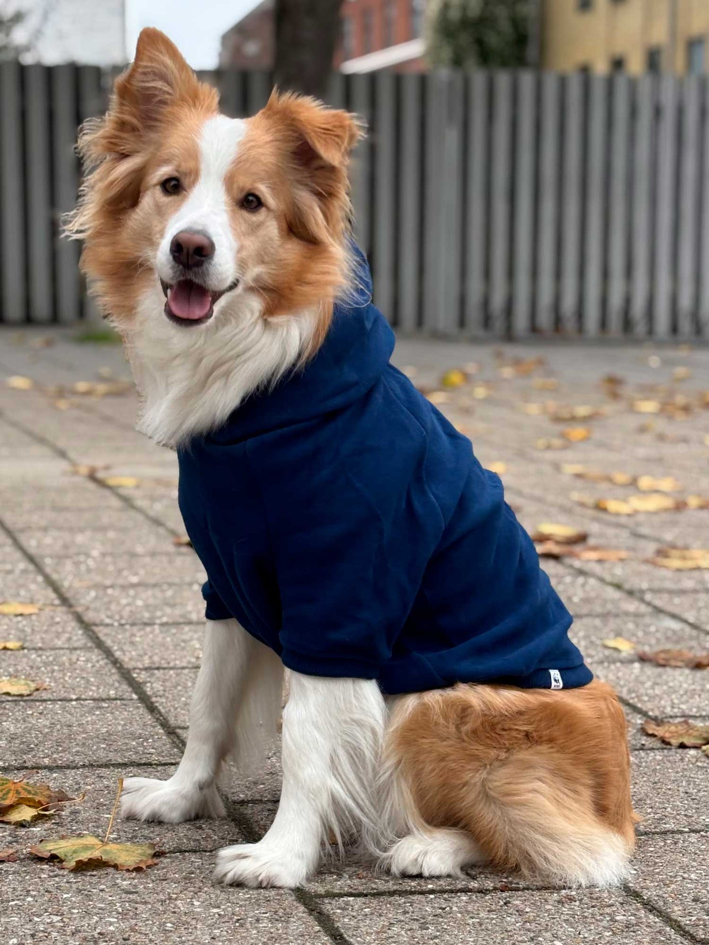 WWF hunde hoodie