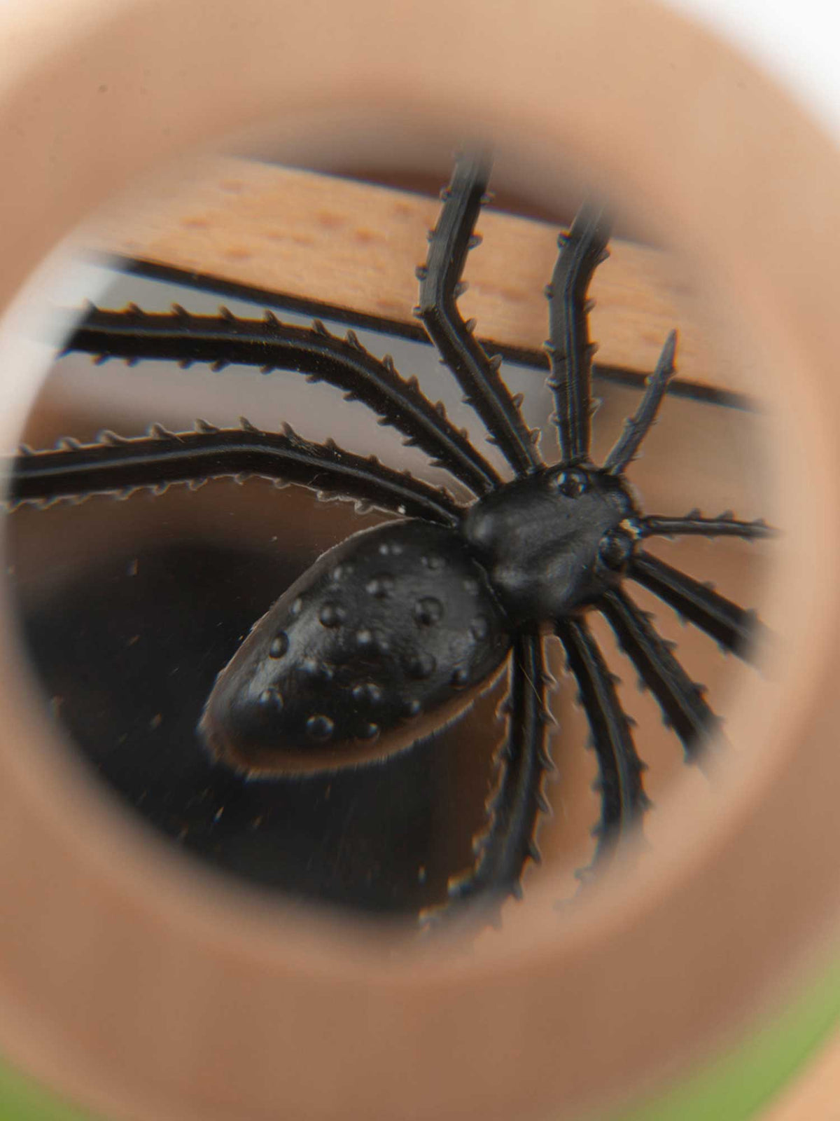 Insektglas