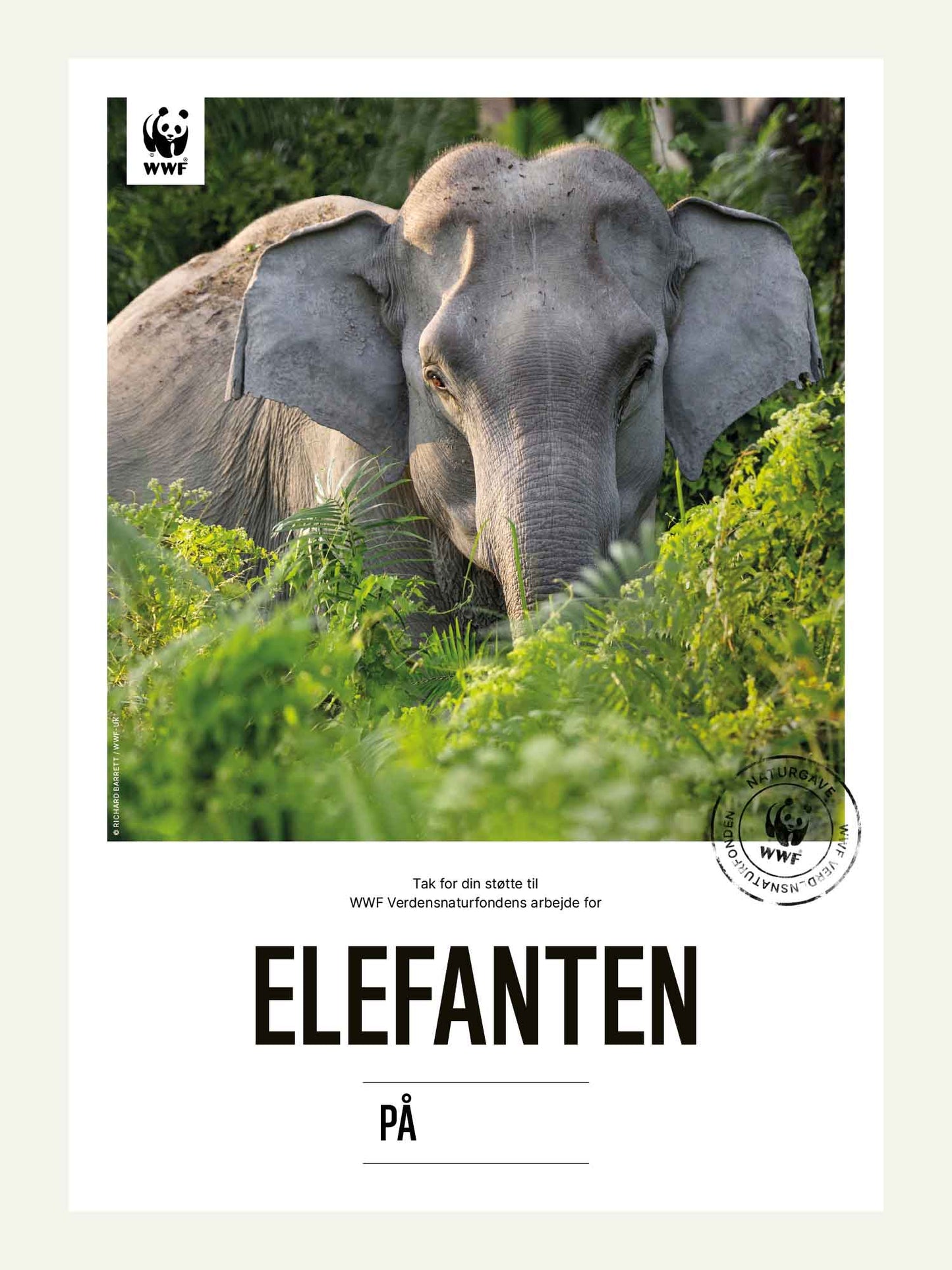 Elefanten - Naturgavekort