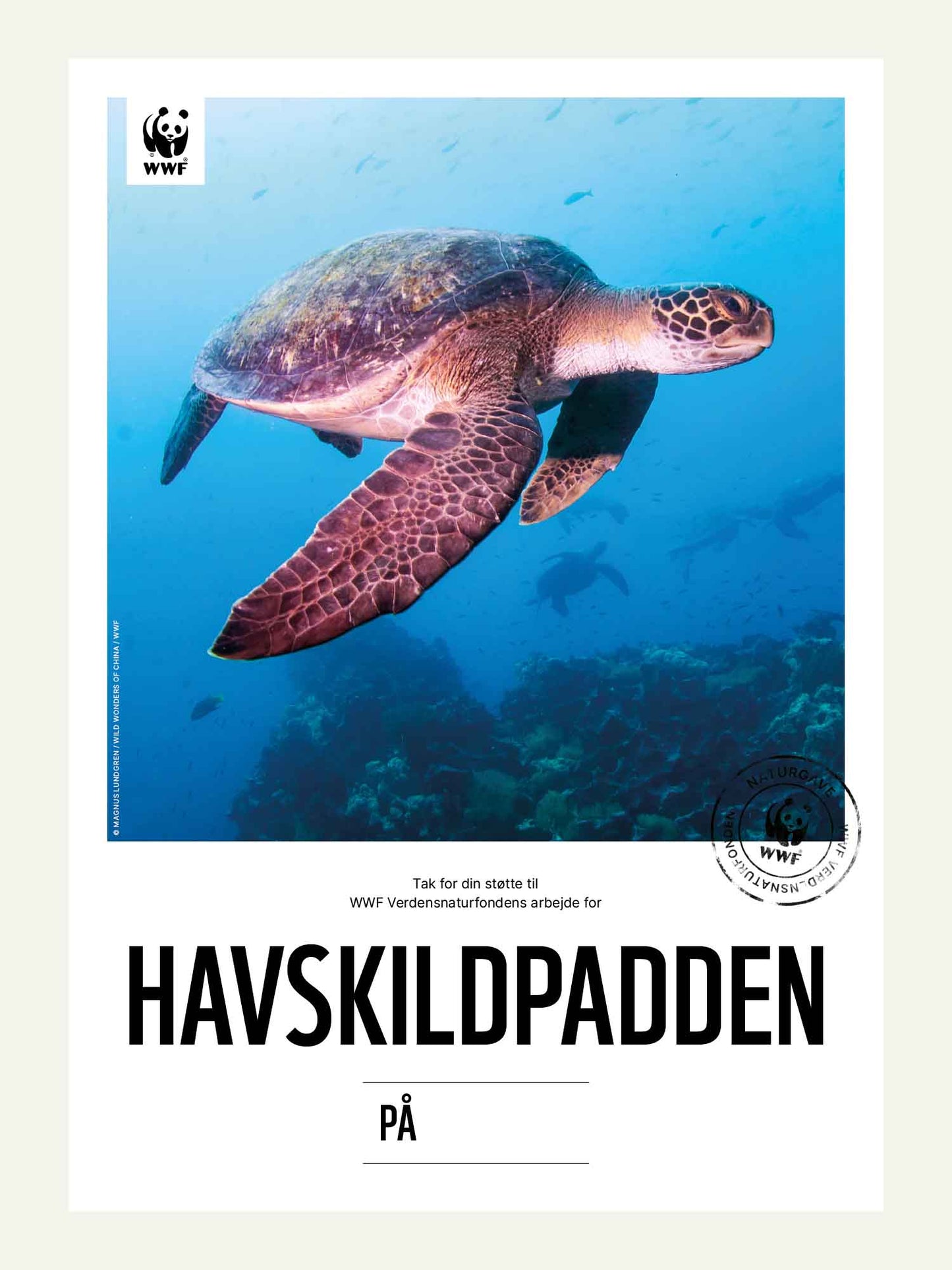 Havskildpadden - Naturgavebevis