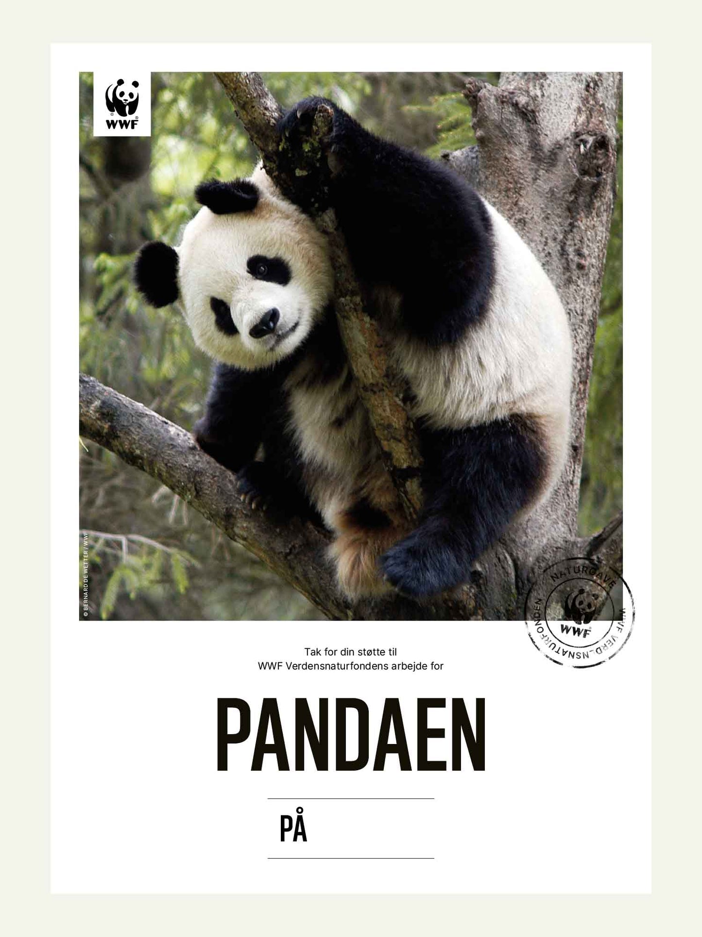 Pandaen - Naturgavebevis