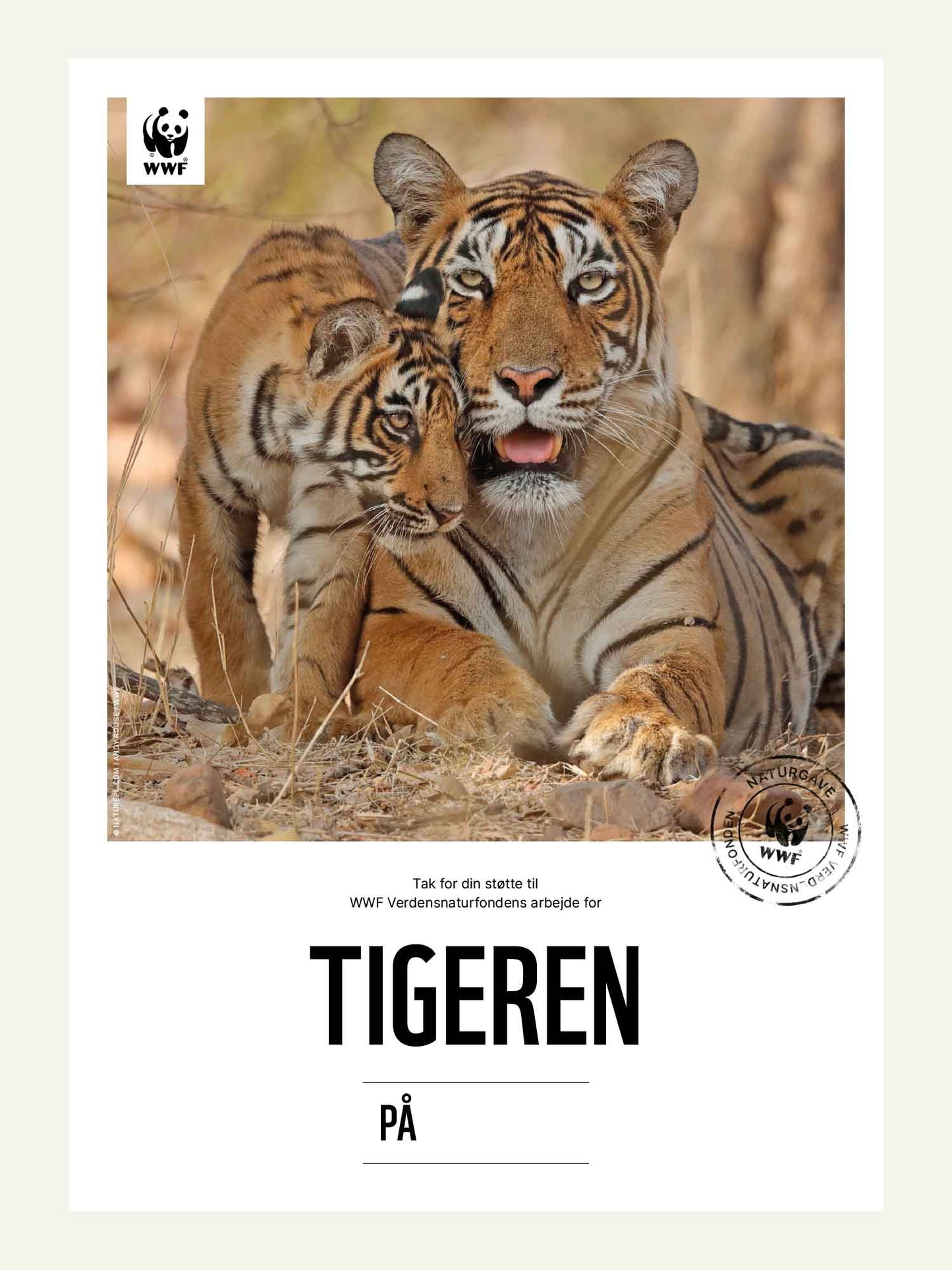 Tigeren - Naturgavekort