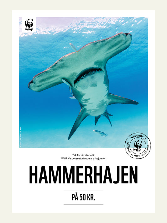Hammerhajen - Naturgavekort