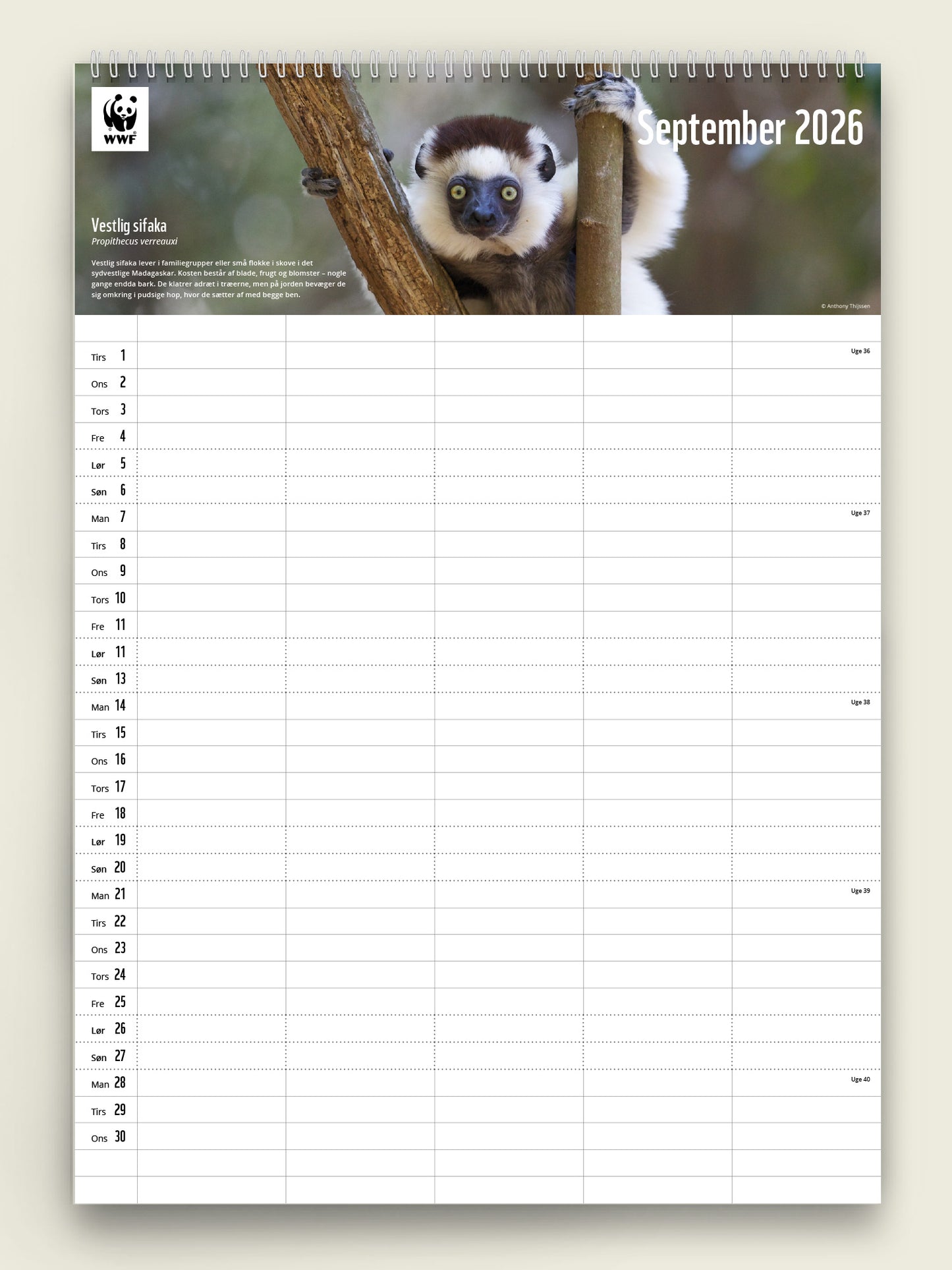 Familiekalender 2026