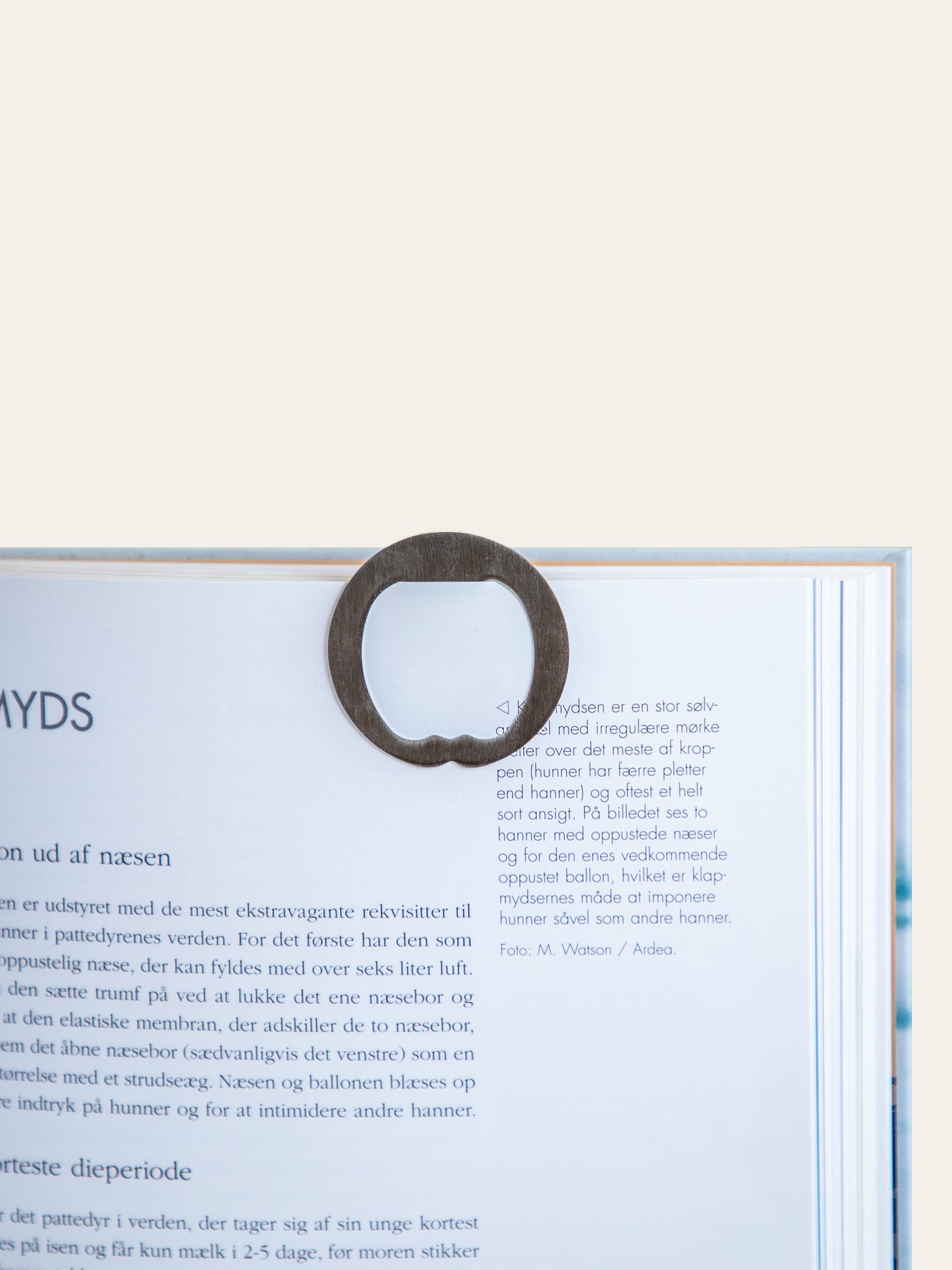 Pengeclips - sæt med 3 styk