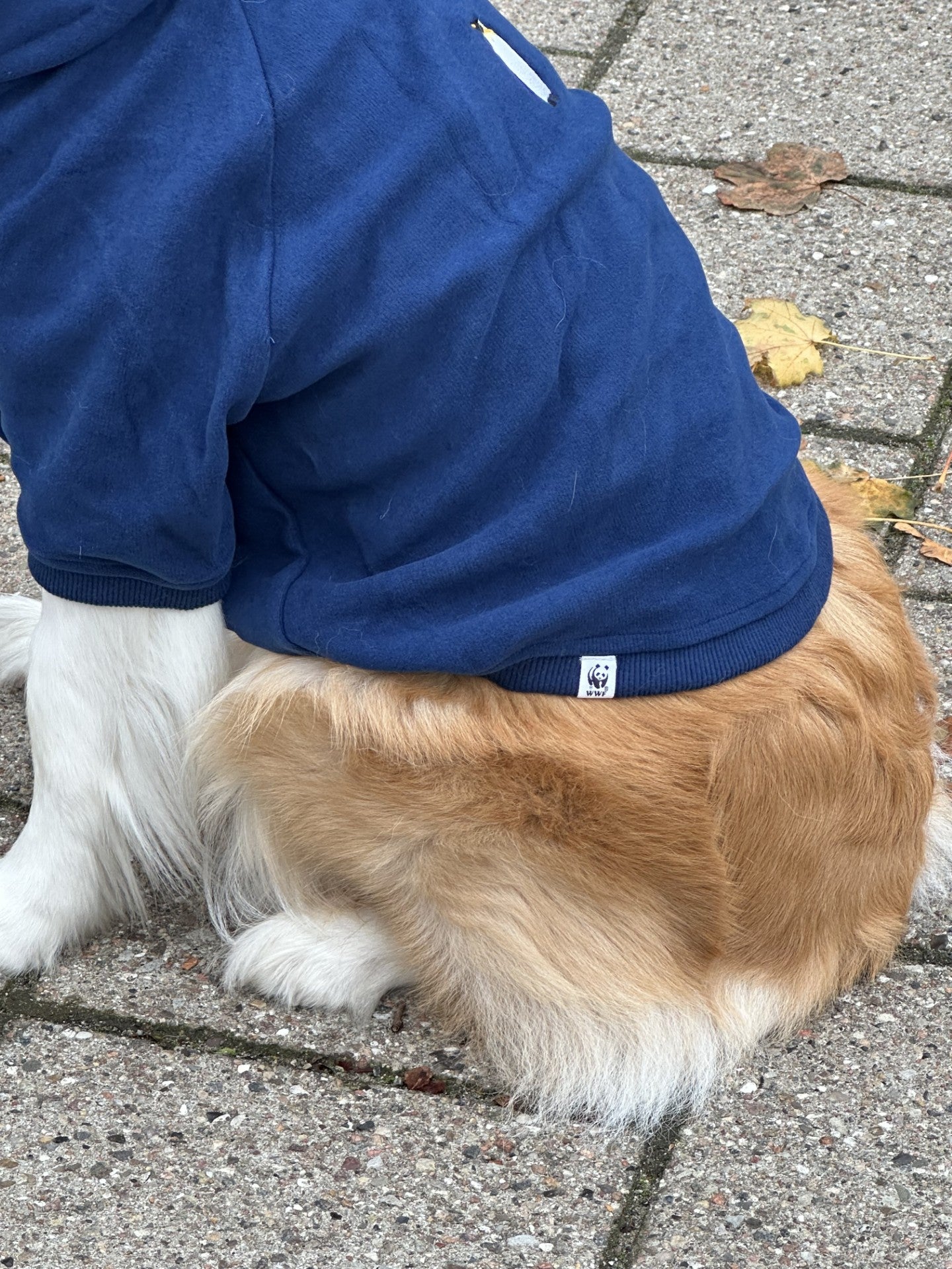 WWF hunde hoodie