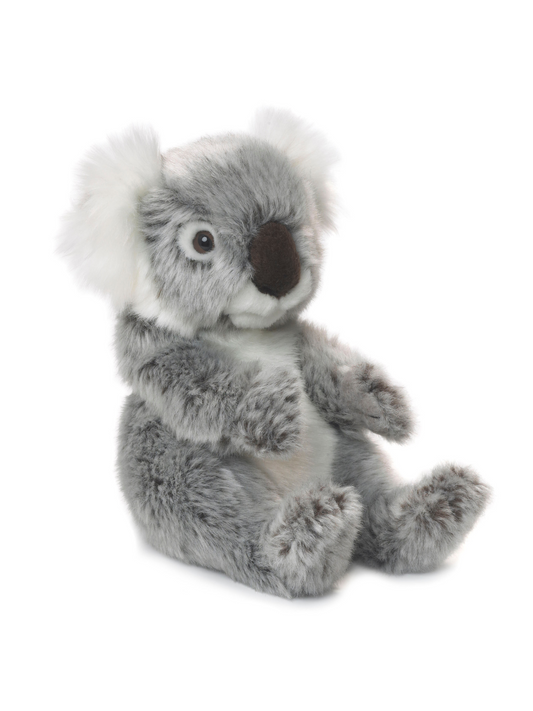 Koala - WWF bamse