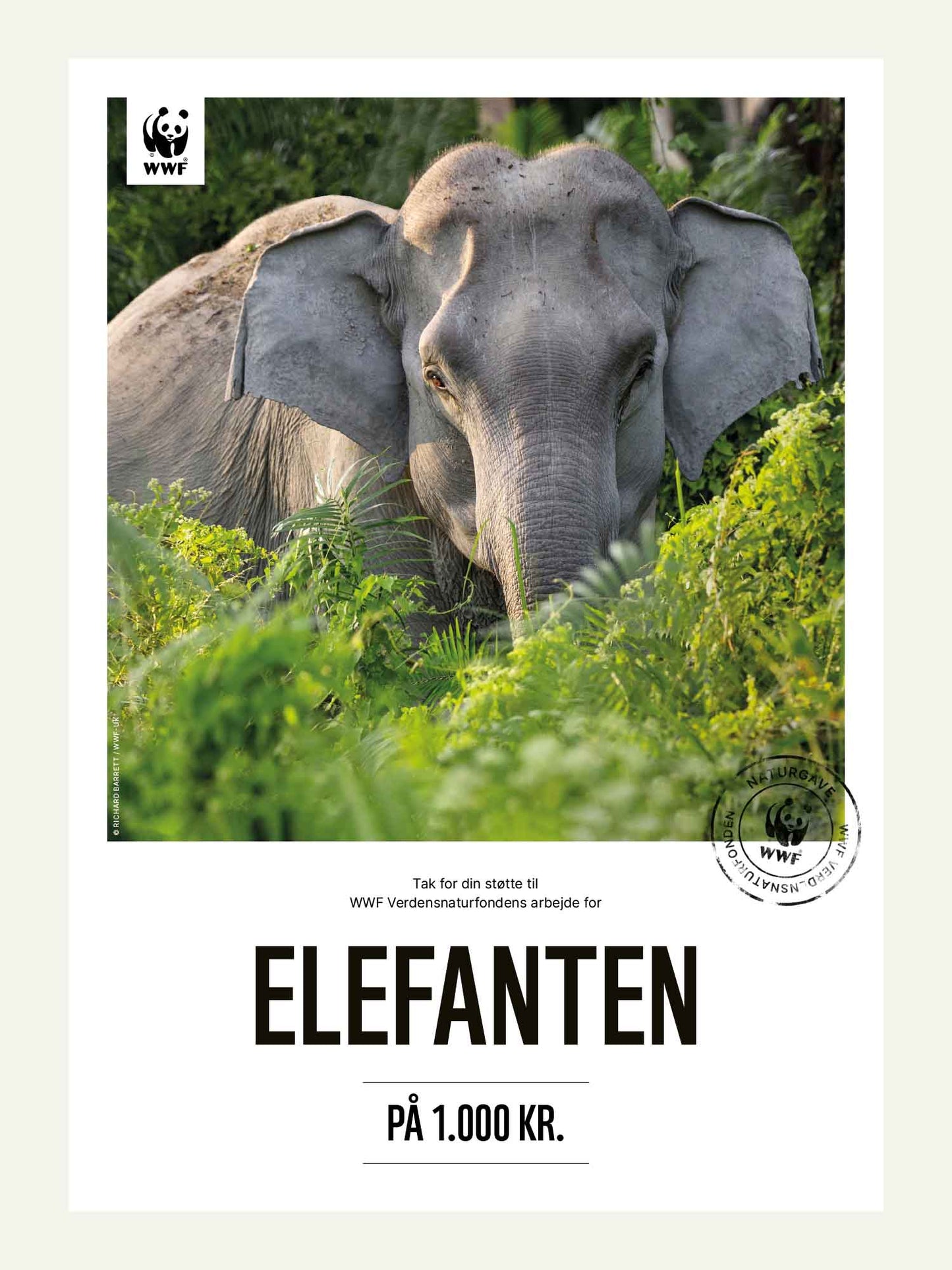 Elefanten - Naturgavekort