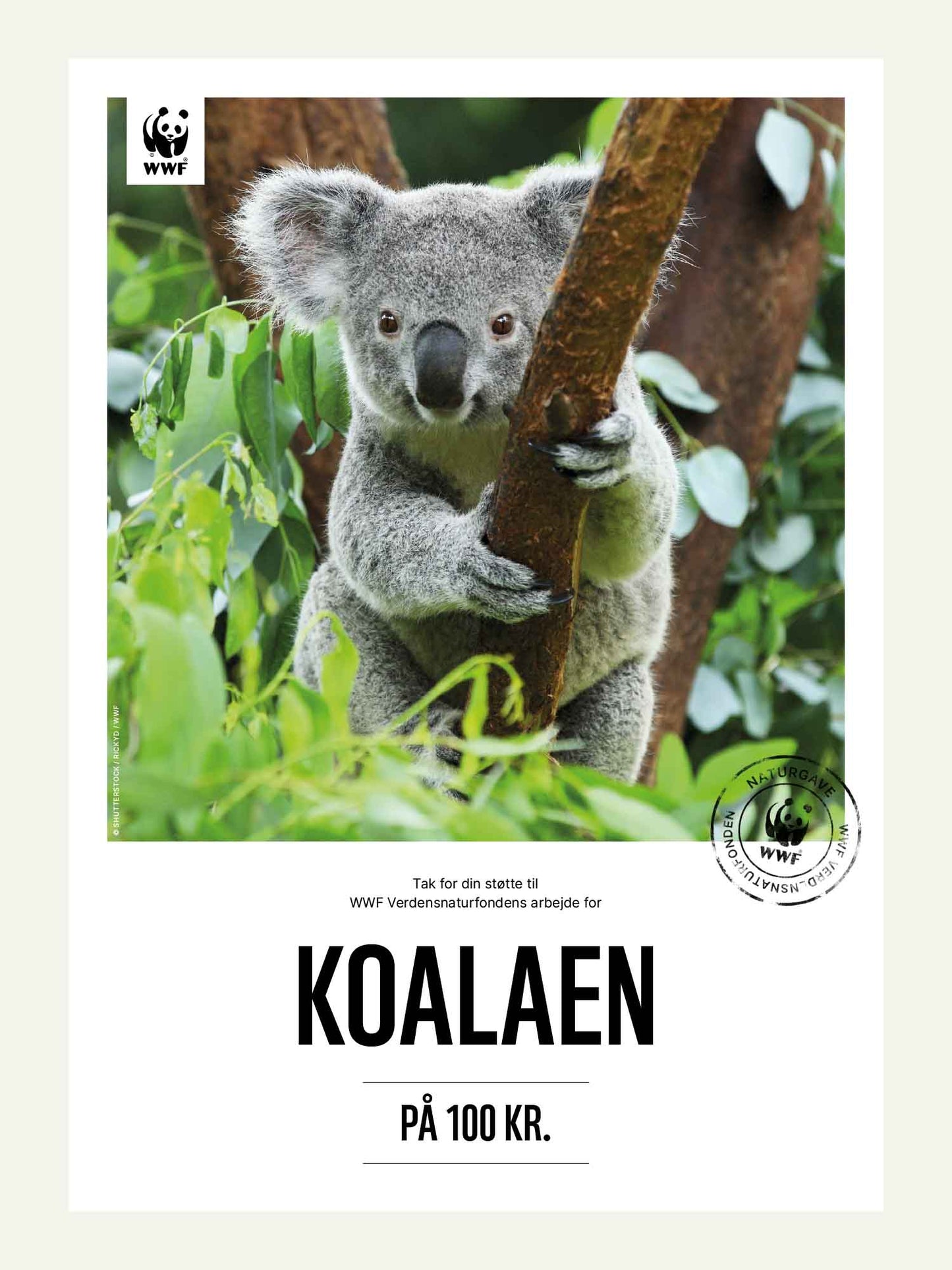 Koalaen - Naturgavekort