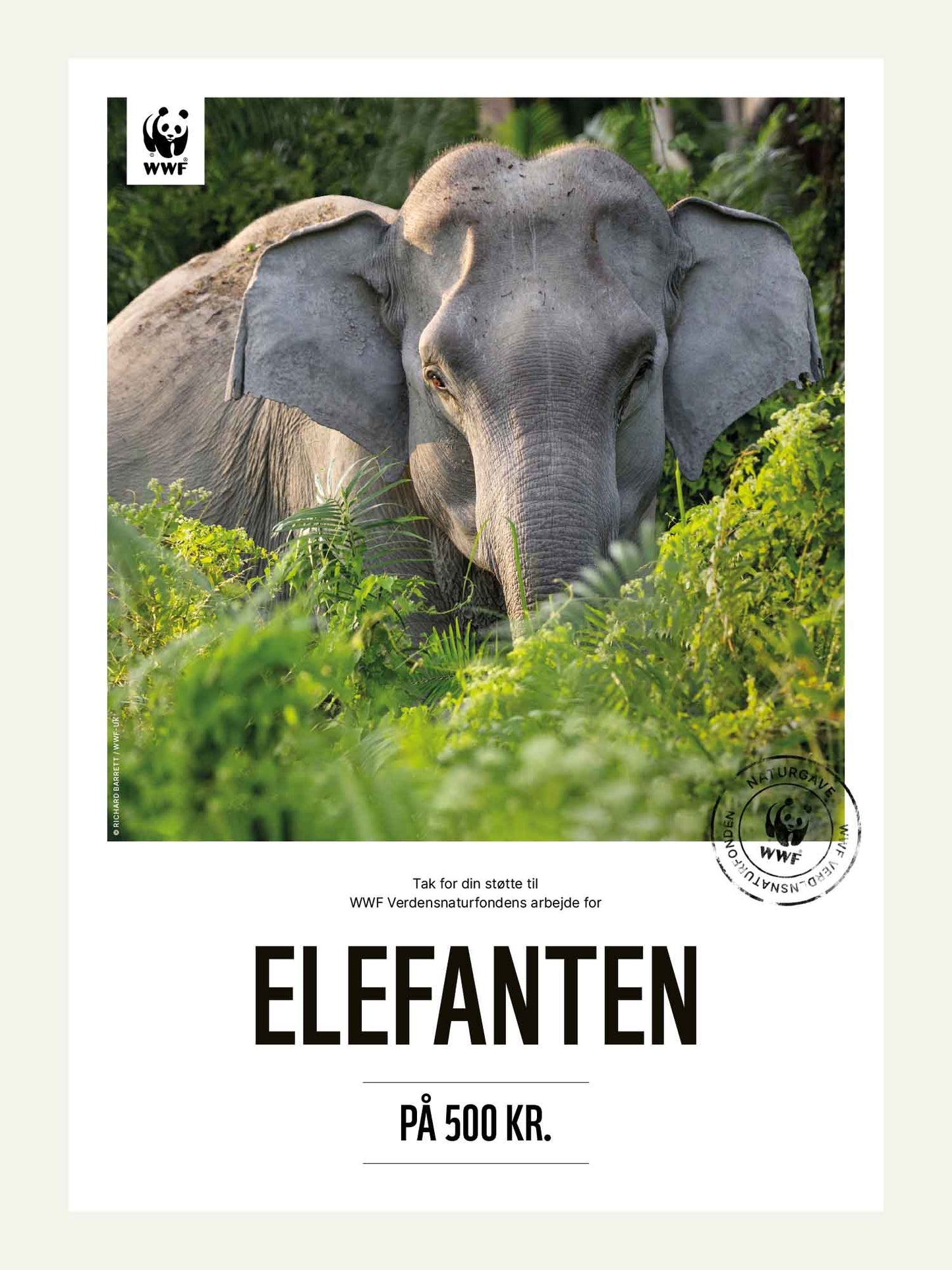 Elefanten - Naturgavekort