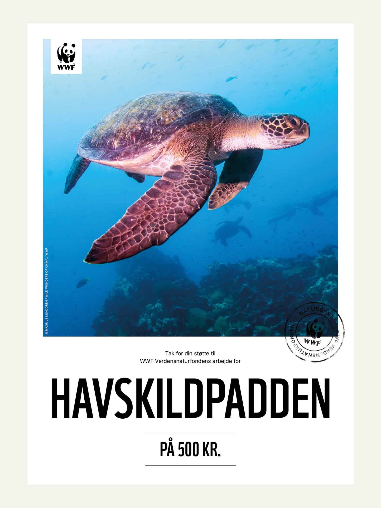 Havskildpadden - Naturgavekort