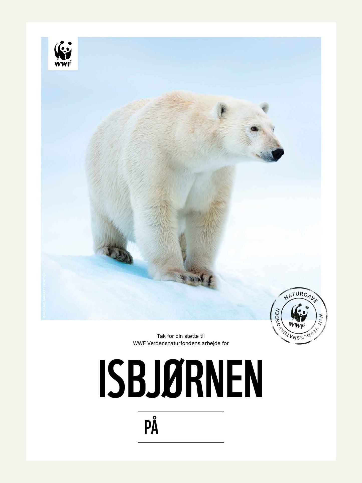 Isbjørnen - Naturgavekort