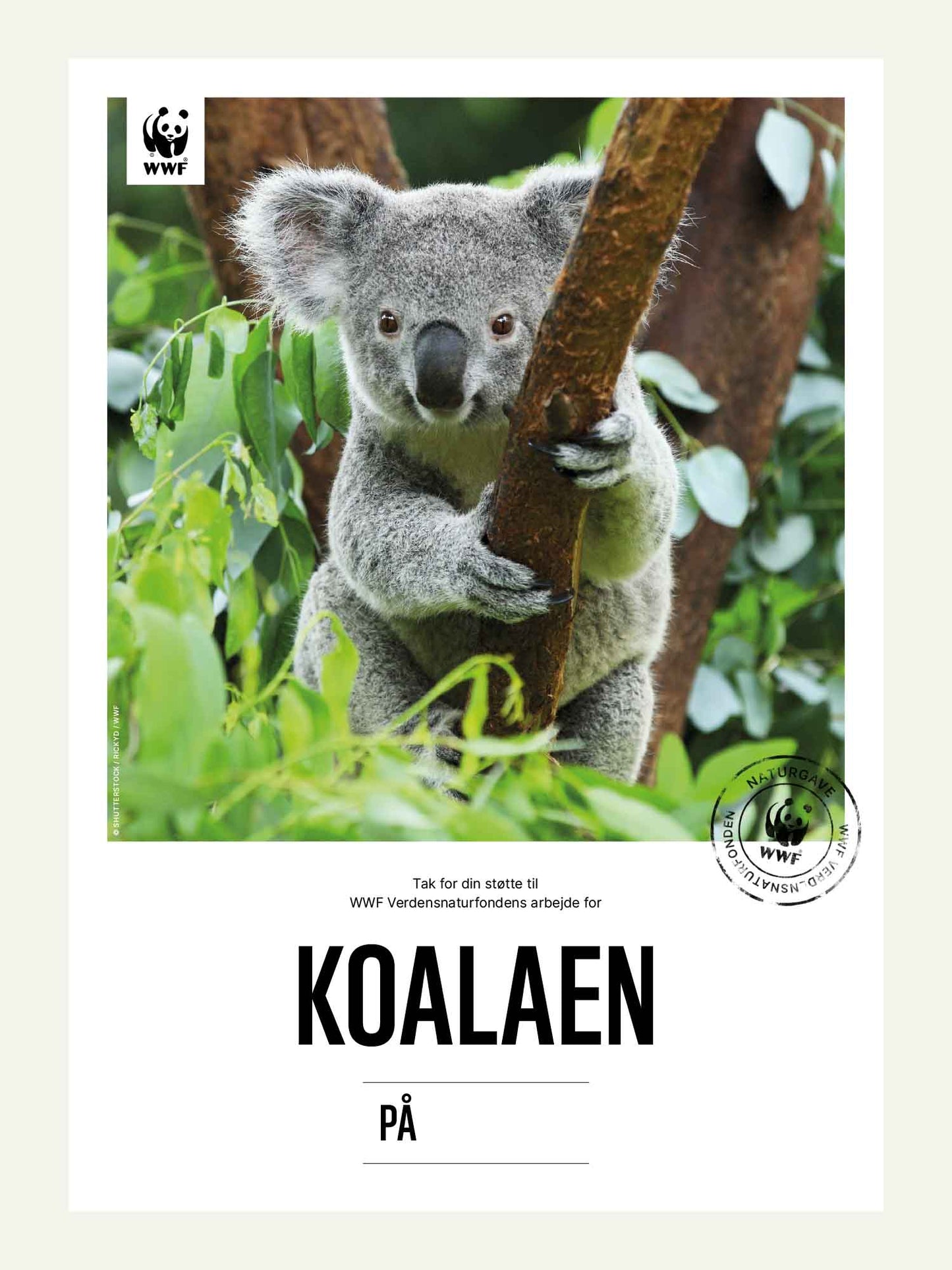 Koalaen - Naturgavekort