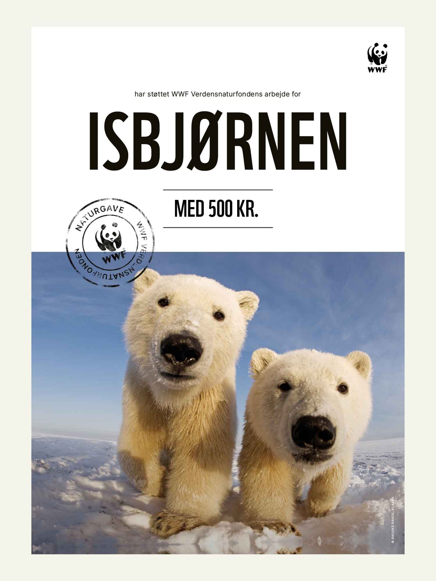 Isbjørnen - Naturgavekort