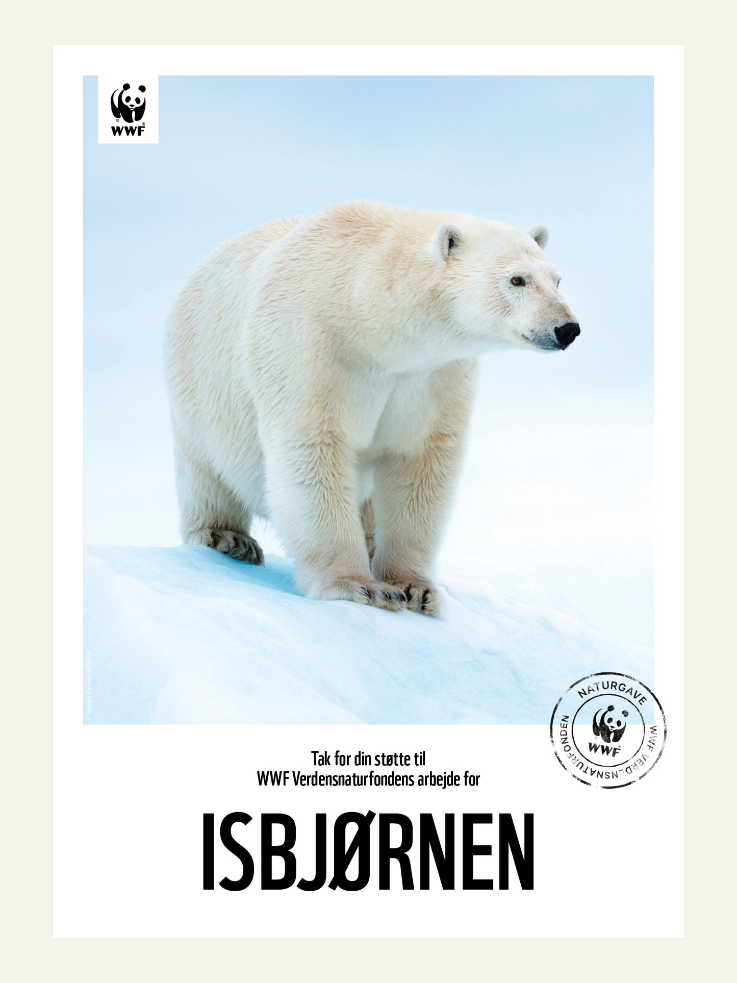 Isbjørnen - Naturgavebevis