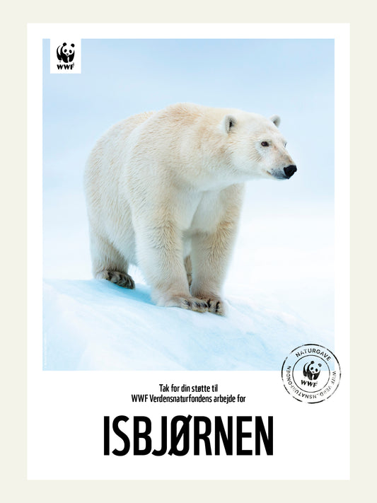 Isbjørnen - Naturgavebevis