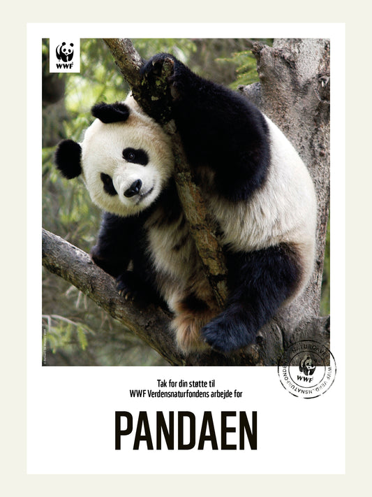 Pandaen - Naturgavebevis