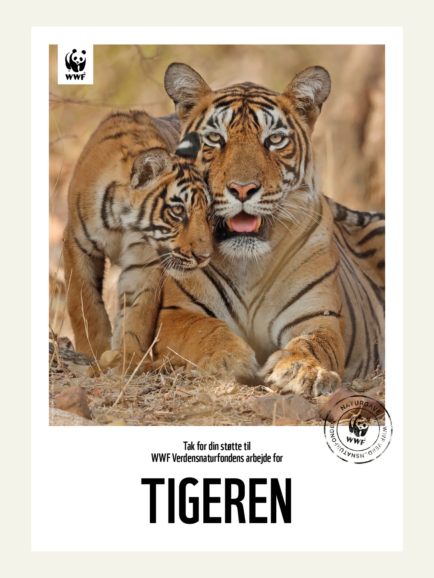 Tigeren - Naturgavebevis