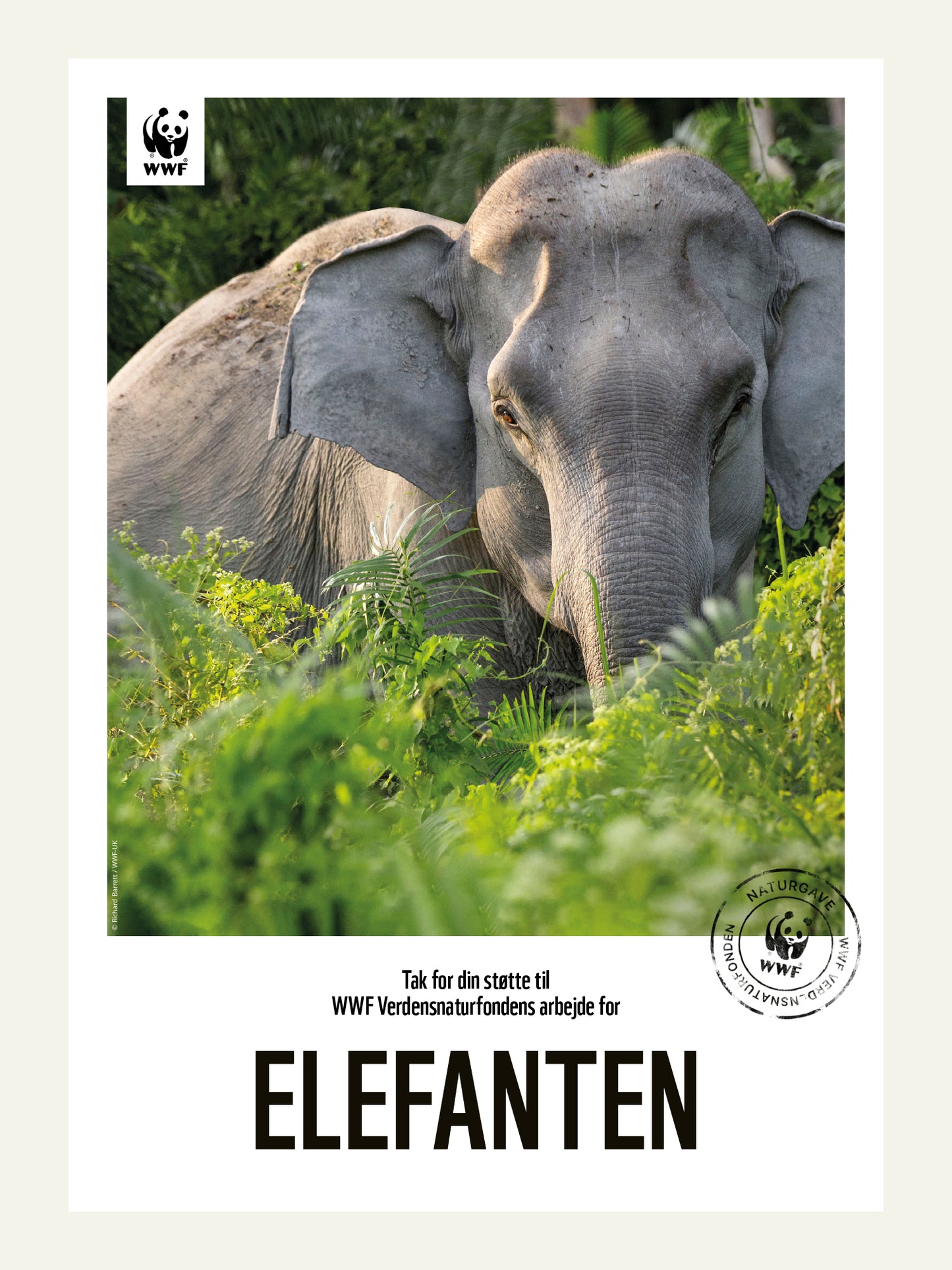 Elefanten - Naturgavebevis