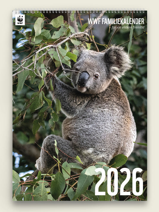 Familiekalender 2026