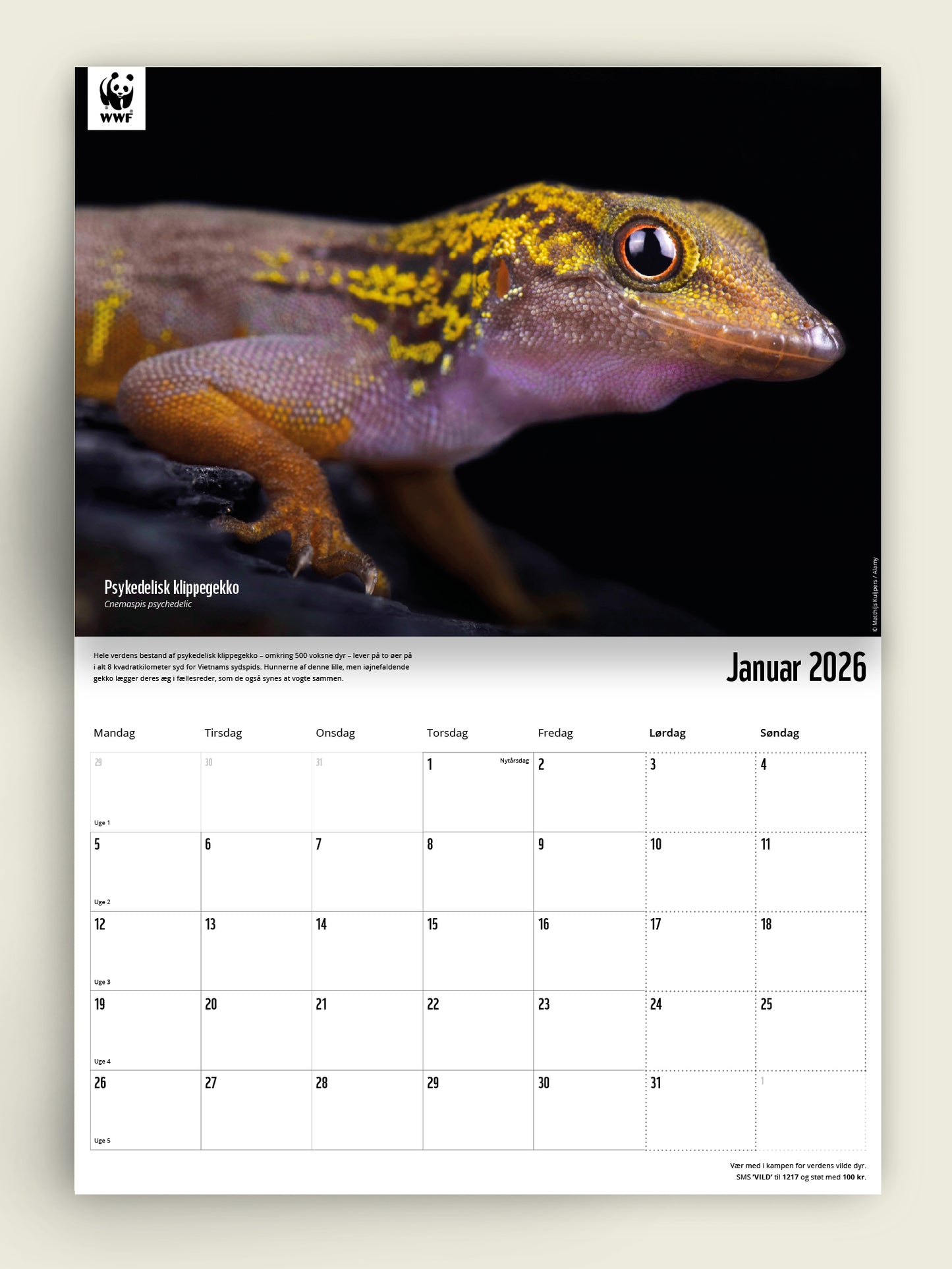 Vægkalender 2026