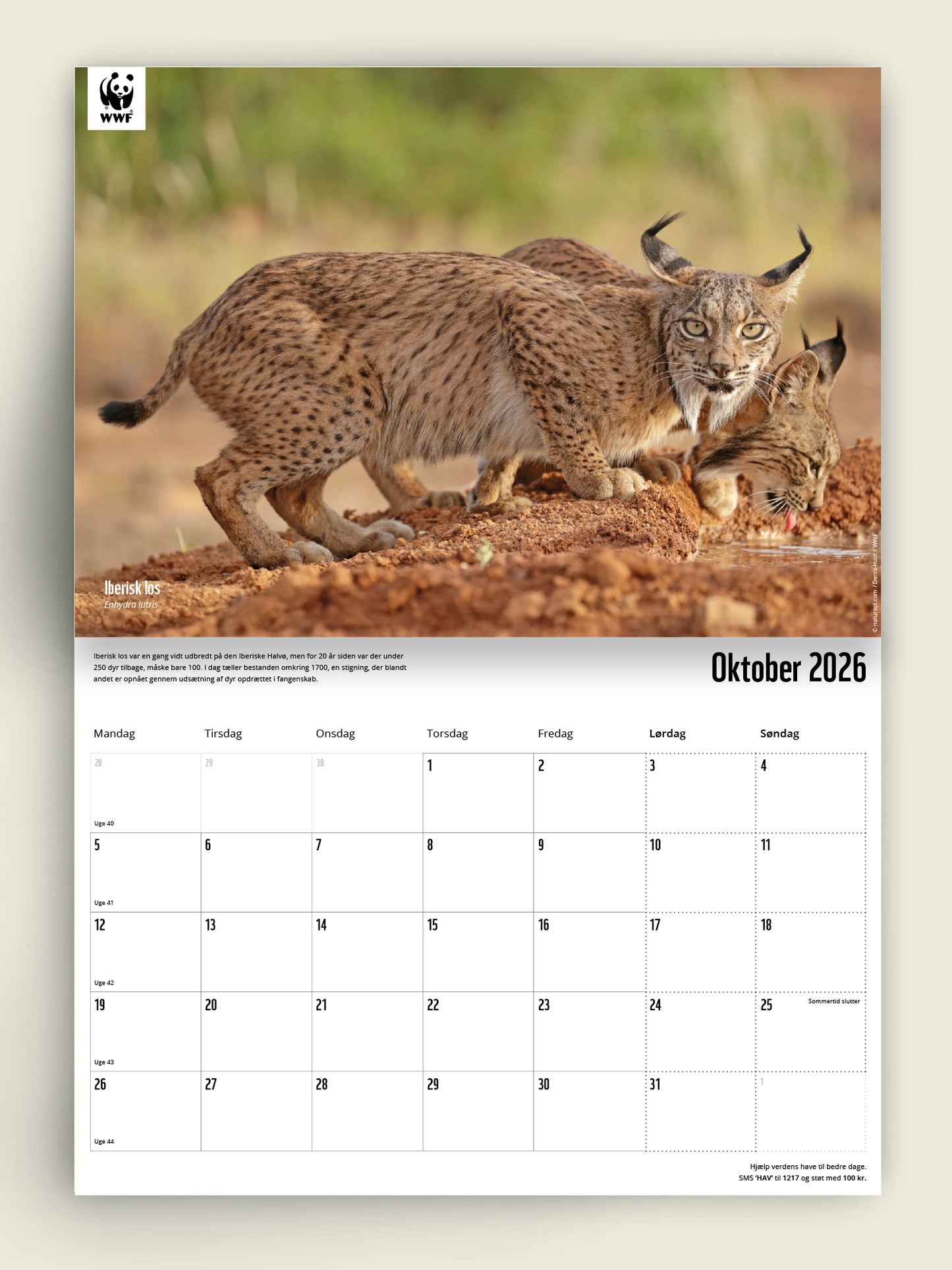 Vægkalender 2026