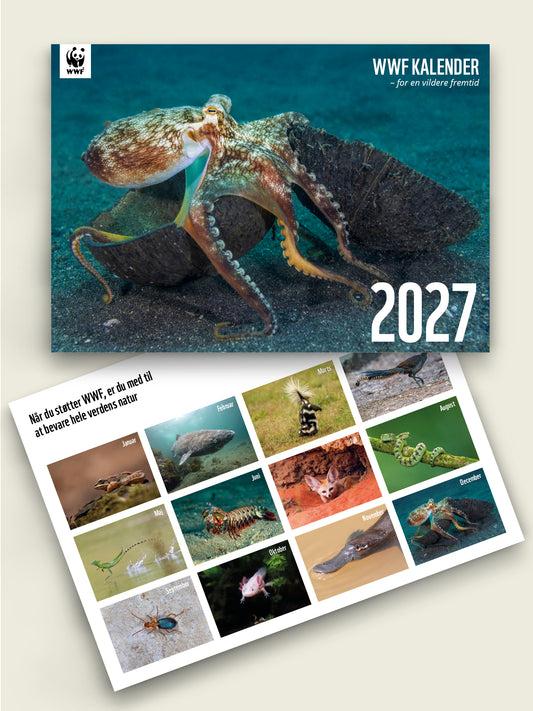 Vægkalender 2027